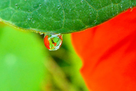 ou quelques fois, souvent même animées de couleurs et de formes qui nous racontent son histoire, l'histoire de son environnement, de ses voisins …